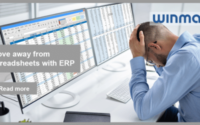 From Excel to ERP Software: Why Businesses Need to Make the Switch