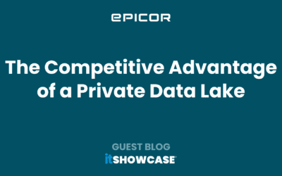 The Competitive Advantage of a Private Data Lake